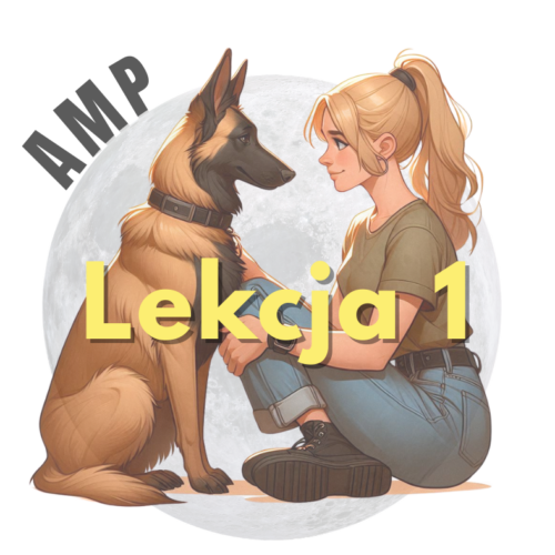 AMP- lekcja 1 - Fundamenty AMP